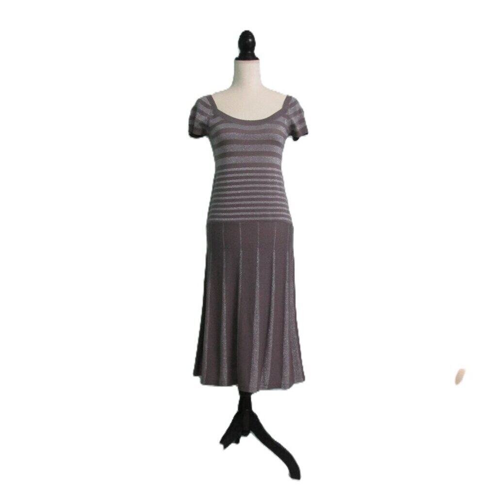 Sangria Gray & Metallic Silver Striped Fit & Flare Midi Dress-8 Petite-EUC